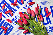 Bouquet Tissue Wrapping Paper Mockup, a Merchandise Mockup by creatsy5 (Thumbnail 16 of 22)