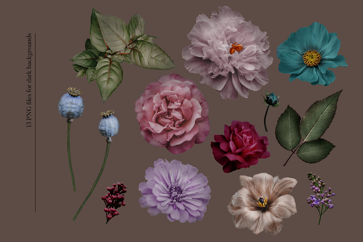 Isolated real flowers clipart set, an Object Graphic by The Graphic Parade (Photo 5 of 14)