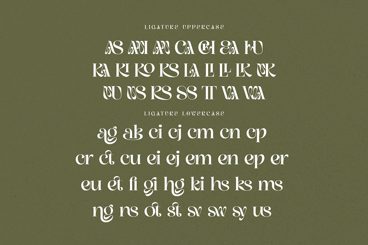 Kangki Stylish Serif, a Serif Font by Cruzine (Photo 7 of 8)