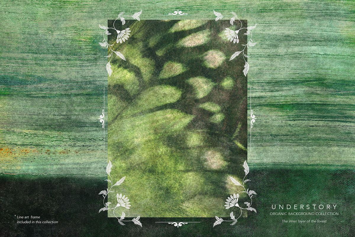 Understory Organic Backgrounds, a Background Graphic by alonahaidash (Photo 13 of 15)