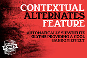 Rewizor - 2 vintage fonts, a Serif Font by Leitmotif (Thumbnail 3 of 5)