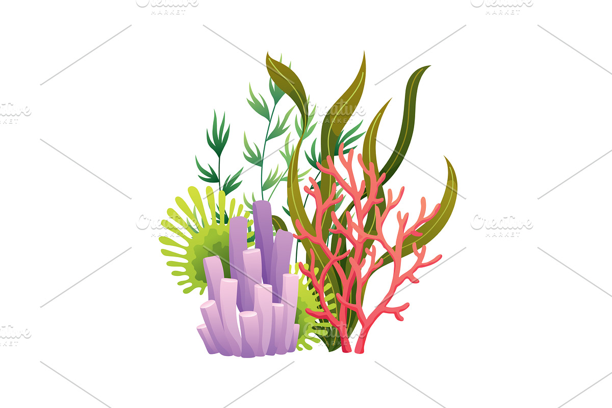 Set of watercolor seaweed and corals, an Animal Illustration by the8monkey