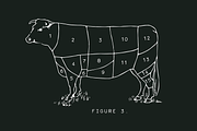 Loma - A Vintage-Style Stamp Font, a Font by Loren Klein (Thumbnail 7 of 12)