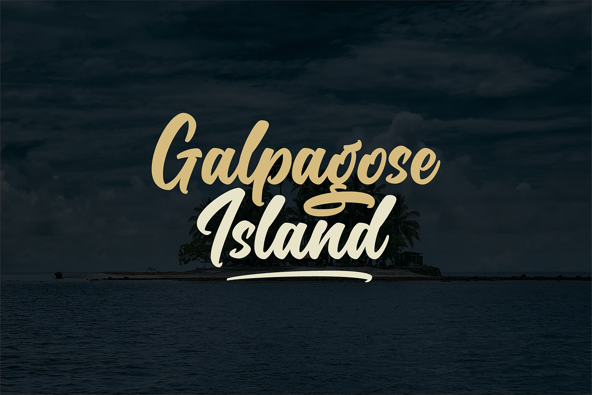 Chairville, a Script Font by SusiType (Photo 4 of 8)