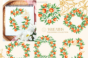 Tangerines Watercolor collection, a Decorative Illustration by SashaKondr (Thumbnail 8 of 14)