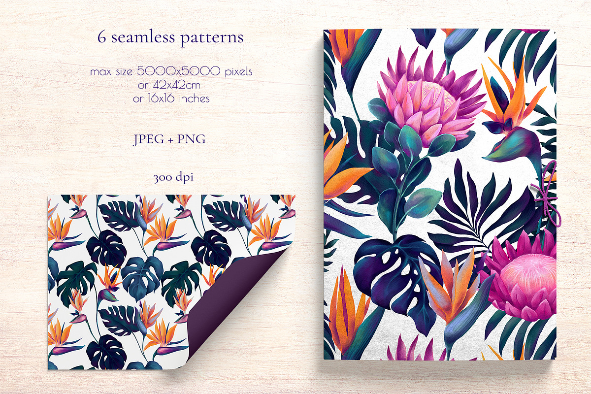 Monstera and Strelitzia watercolor, an Illustration by Salted Galaxy (Photo 9 of 15)