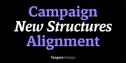 Tangent, a Slab Serif Font by Hoftype (Thumbnail 4 of 14)