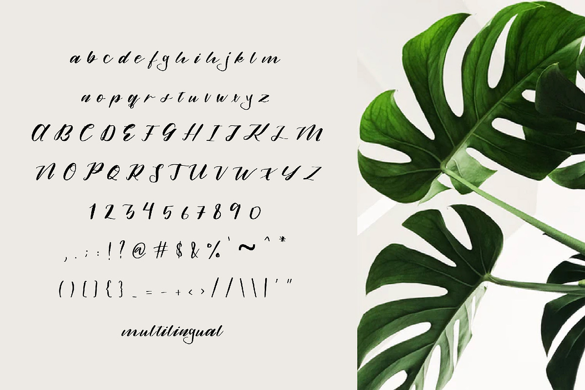 alamanda font, a Script Font by Mariyana (Photo 6 of 6)
