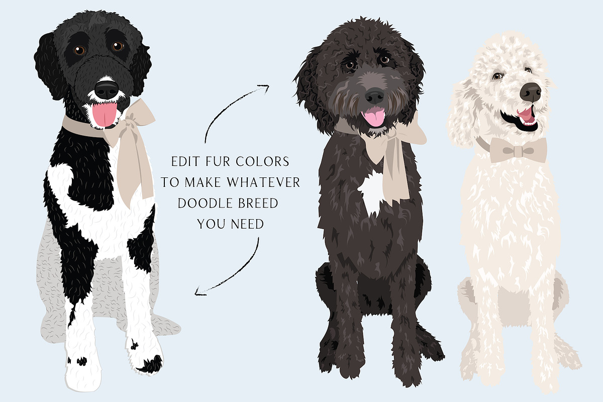 Labradoodle Goldendoodle Vector Art, an Illustration by Putnam Road Art (Photo 3 of 4)