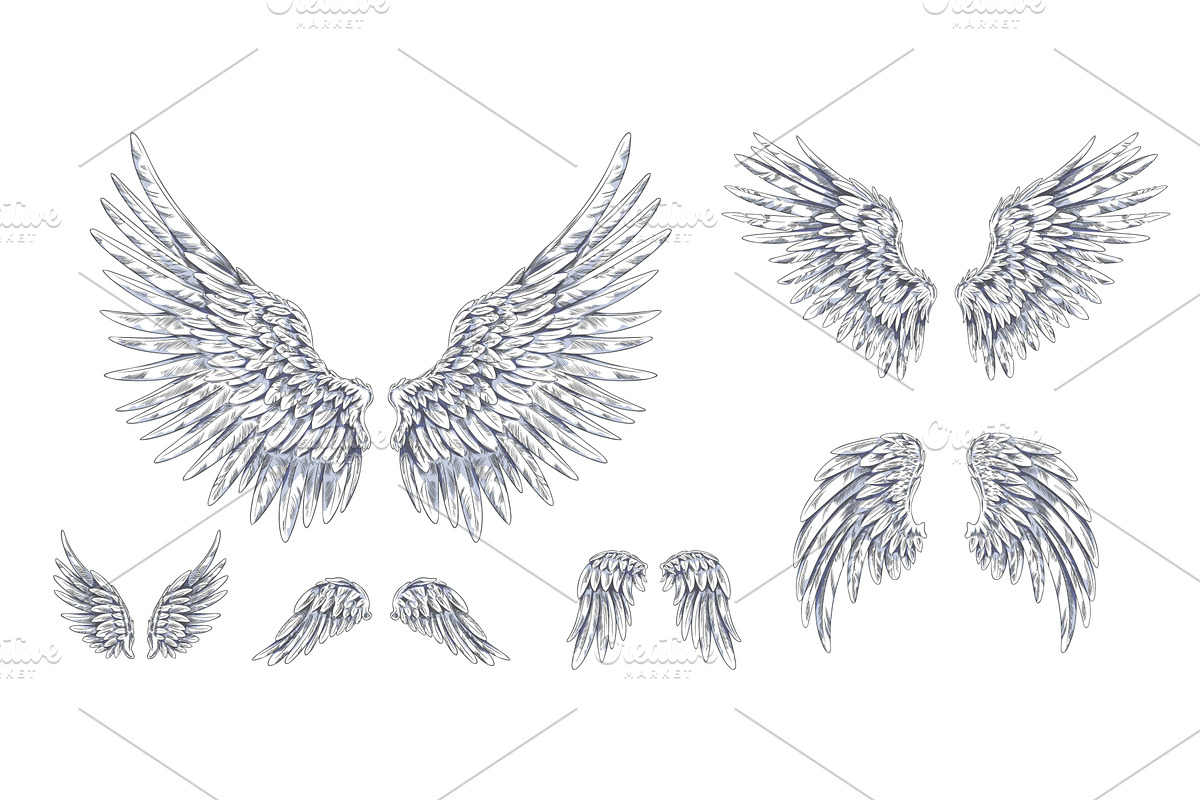 Angel wings sketch, pair of heraldic, an Animal Illustration by Sabelskaya
