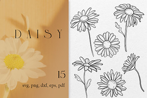 Daisy clipart flower SVG PNG EPS
