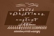 Amsaterdam Jungleria, a Script Font by Integritype Studio (Thumbnail 9 of 10)