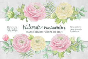 Watercolor ranunculus.