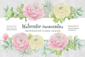 Watercolor Ranunculus.