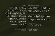 Kongli Elegant Serif Font, a Serif Font by Perfectype (Thumbnail 9 of 9)