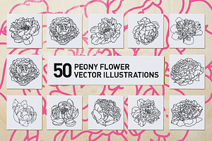 50 Peony Flower Vector Illustrations