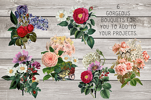 COTTAGE GARDEN BOTANICAL PRINTS