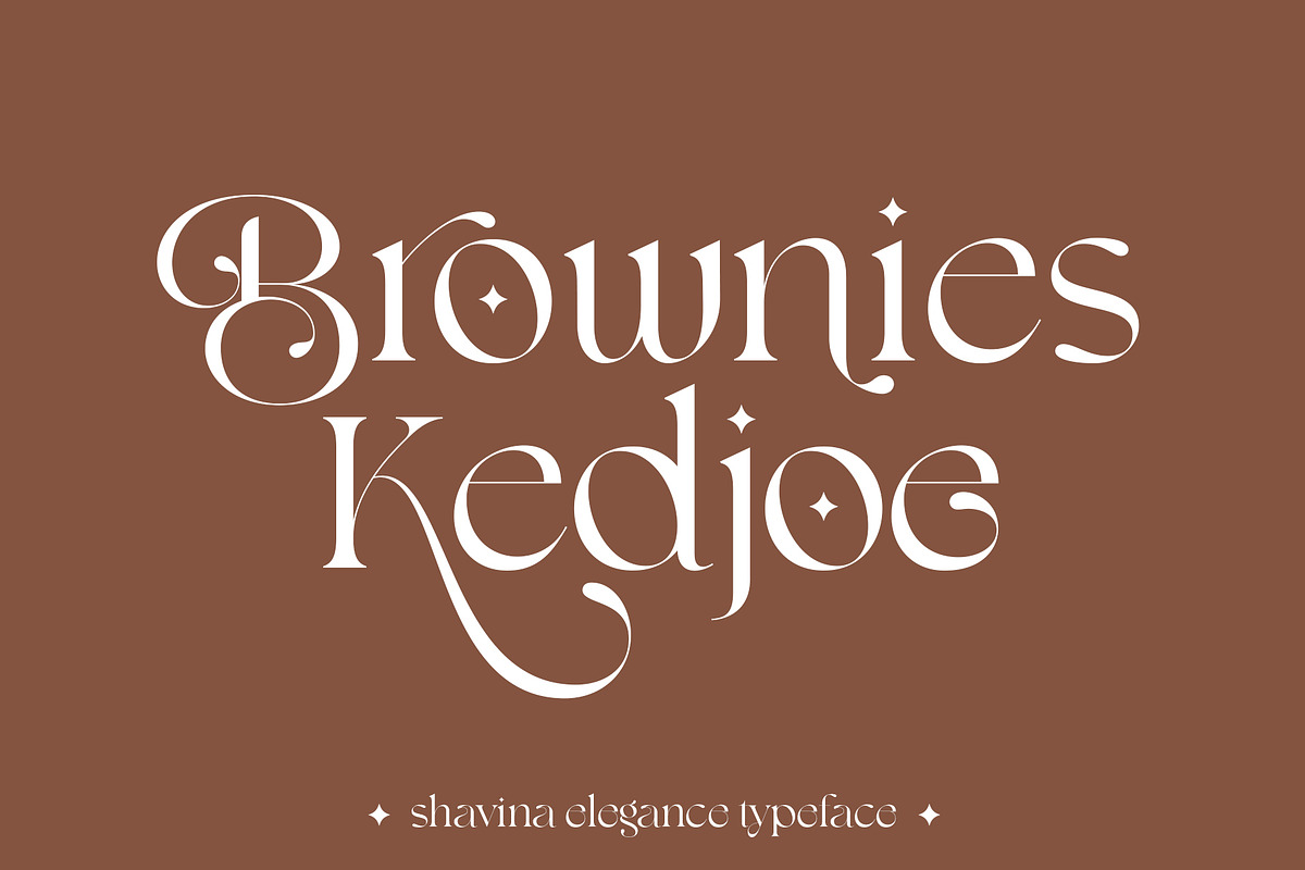 Shavina Elegance, a Serif Font by INKSUN™ (Photo 12 of 12)