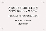 Gomsig Elegant Serif Font Typeface, a Serif Font by Perfectype (Thumbnail 6 of 6)