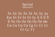 Arenosa | textured serif font, a Serif Font by Wander Designs (Thumbnail 6 of 6)