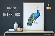 JAI Collection, a Decorative Illustration by Dana Designs (Thumbnail 8 of 14)
