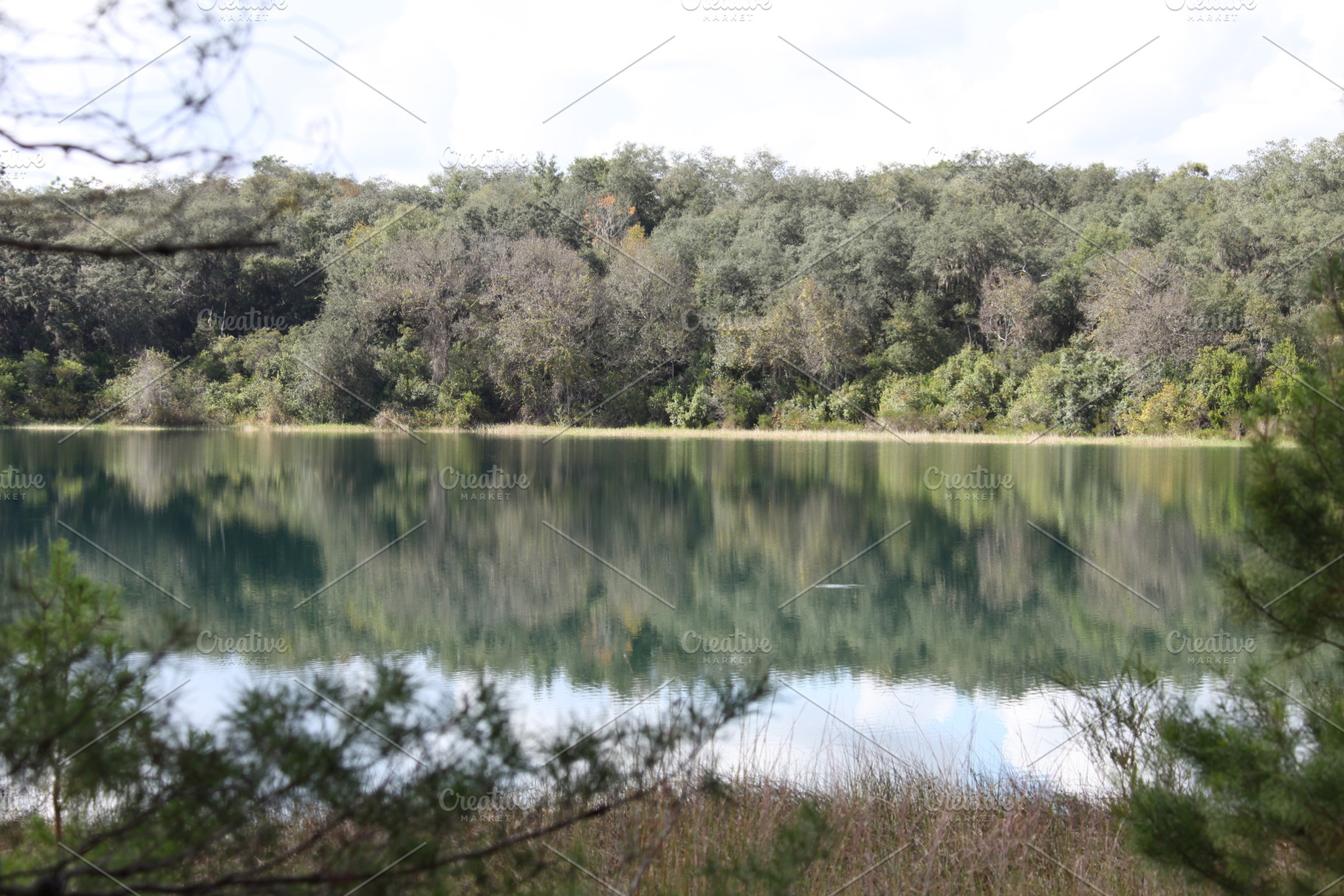 Lake in Gold Head Branch State Park, a Nature Photo by Viktor
