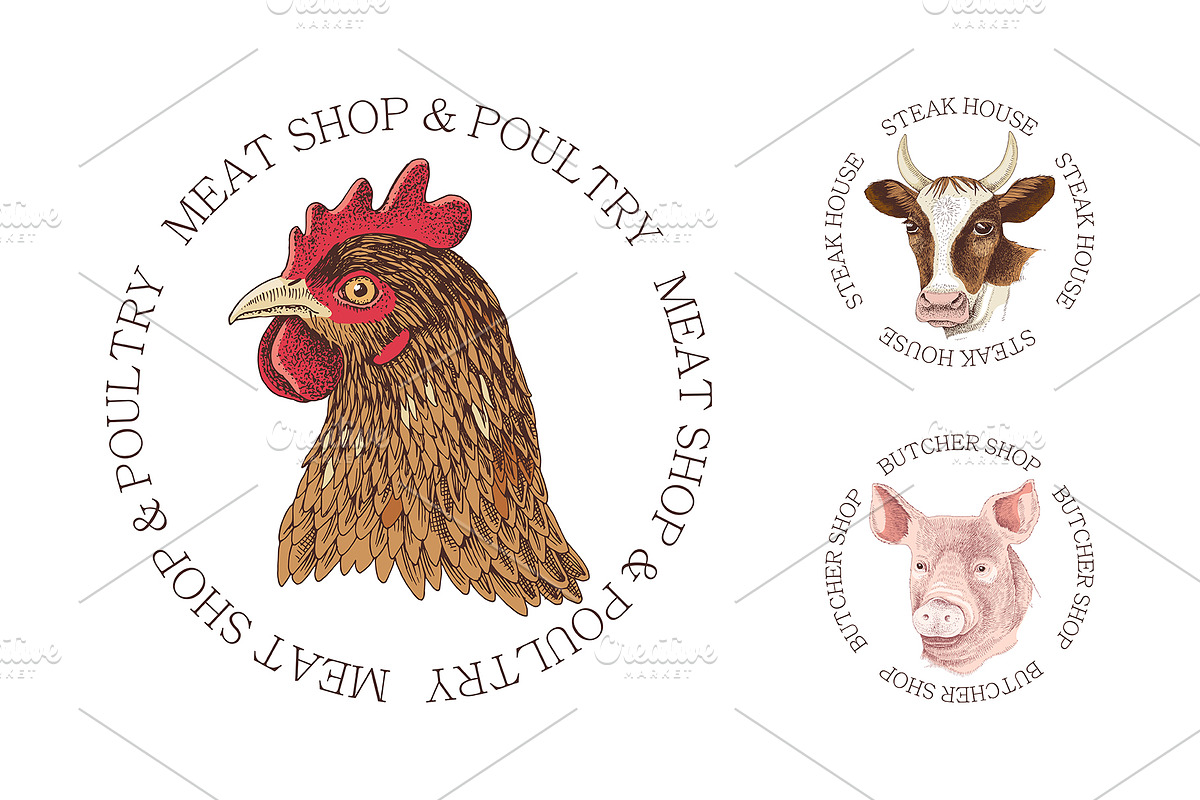Ultimate meat set. Meat market, a Food Illustration by handsketched (Photo 16 of 17)