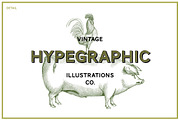 Animals Vector Vintage Illustrotions, an Animal Illustration by hypegraphic (Thumbnail 5 of 5)
