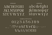 Prista an elegant serif font, a Sans Serif Font by Honestype (Thumbnail 9 of 10)