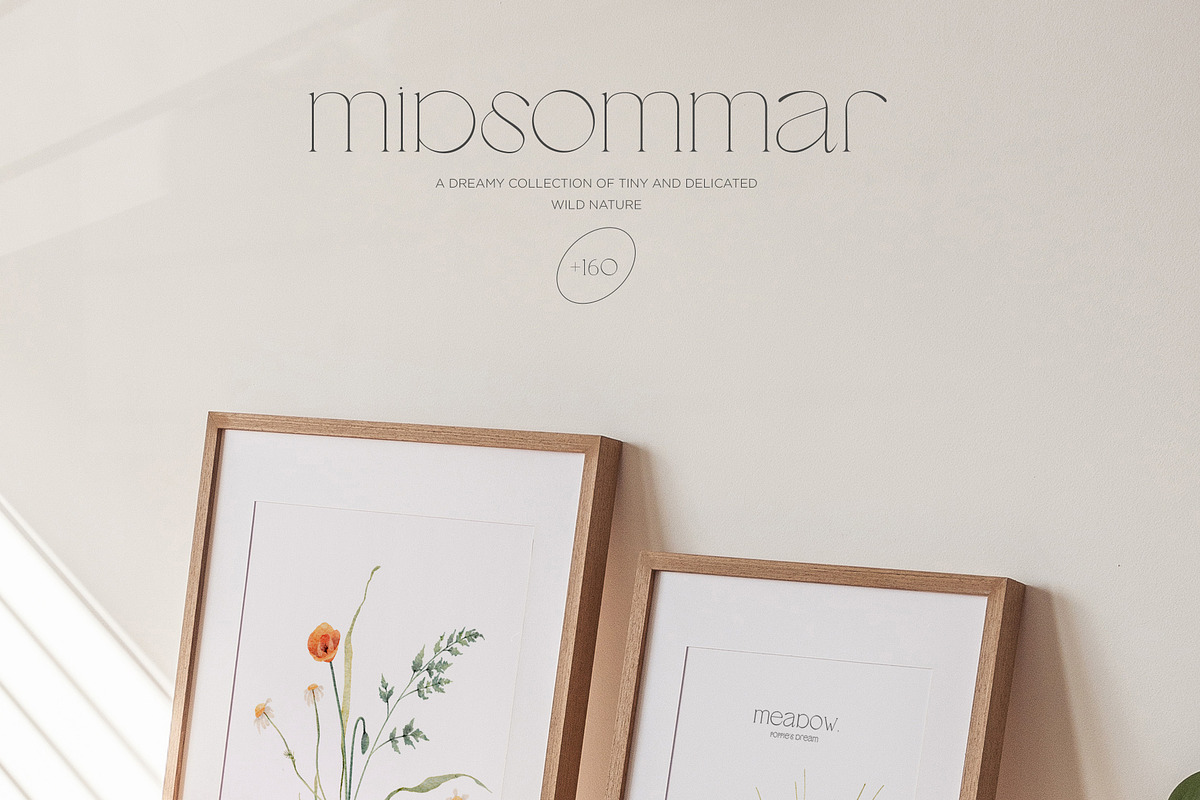 Watercolor wildflower clipart bundle, an Illustration by CarmineType (Photo 11 of 13)