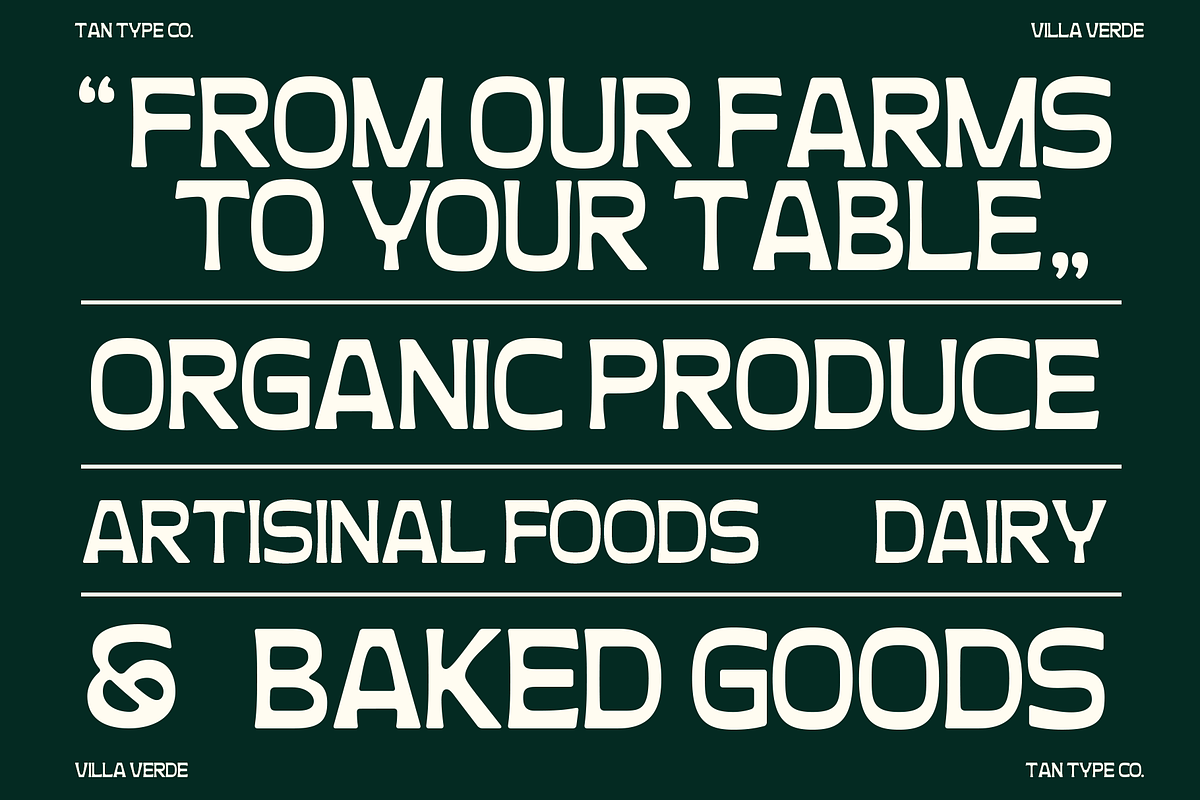 TAN - VILLA VERDE, a Sans Serif Font by TanType (Photo 10 of 13)
