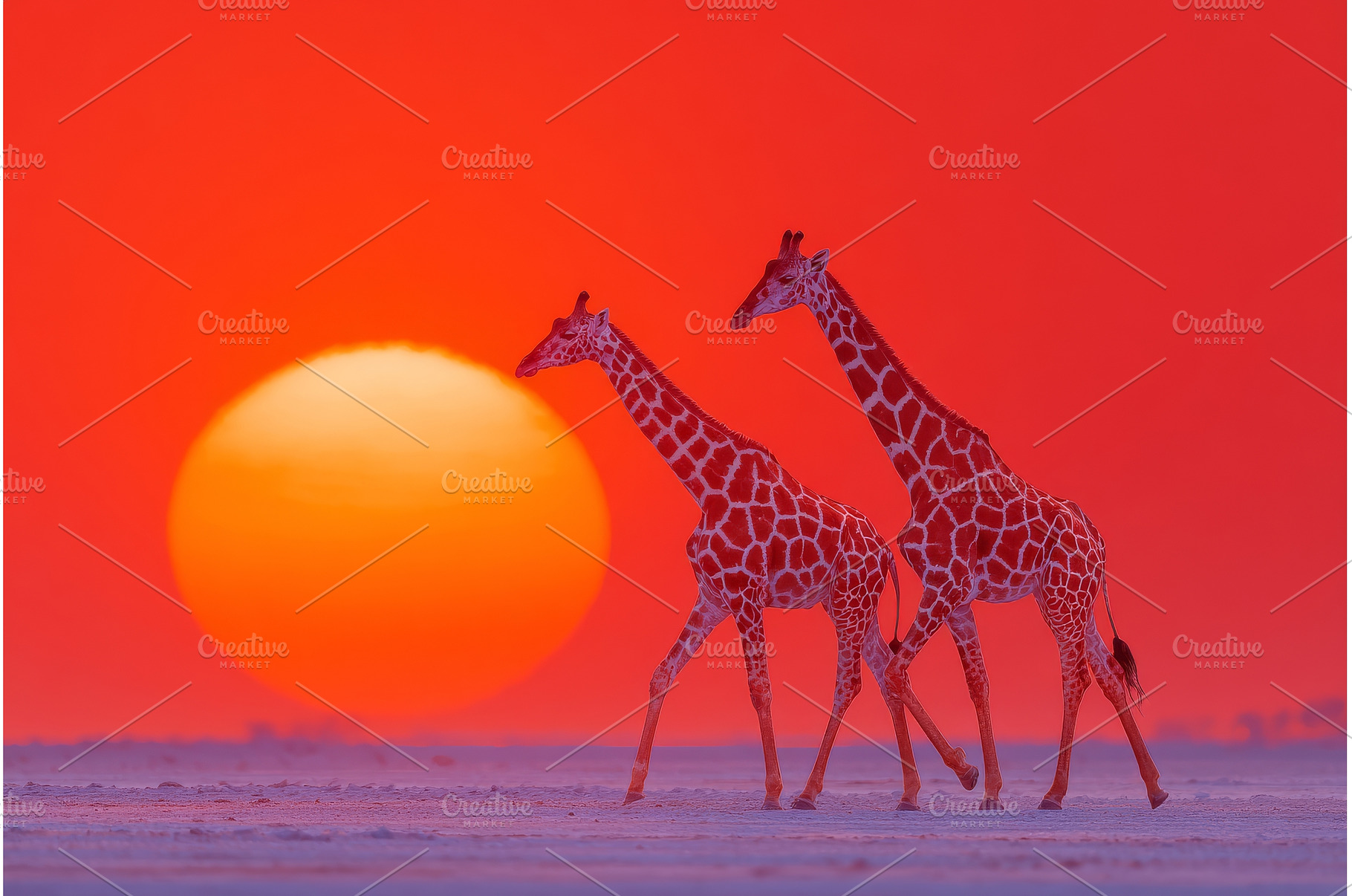 A giraffe is walking through the, an Animal Photo by ZinetroN