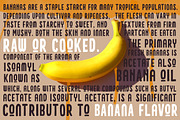 Holistic Font Duo, a Script Font by moreeestudio (Thumbnail 3 of 5)