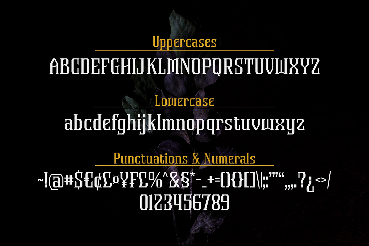 Vorvalla - Gothic Decorative Serif, a Serif Font by agnyhasyastudio (Photo 6 of 10)