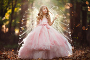 Angel Wings Overlays, a Photo by HappyNews (Thumbnail 5 of 11)