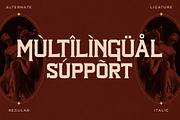 Squired Dimonds Display Typeface, a Serif Font by Storytype Studio (Thumbnail 12 of 15)