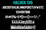 Halden - Hand Brushed SVG Font Duo, a Sans Serif Font by Surplus Type Co (Thumbnail 9 of 12)