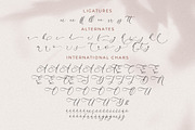 Andora Modern Font Duo, a Serif Font by Storytype Studio (Thumbnail 6 of 15)