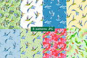 Hummingbirds. Tropical birds., an Illustration by lilisavelieva (Thumbnail 3 of 4)