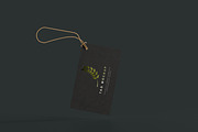 Stationery Branding Mockup Bundle, a Packaging Mockup by pmvch (Thumbnail 61 of 120)