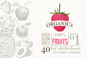 ORGANIC LOGO ELEMENTS – FRUITS, an Illustration by Friendly Label (Thumbnail 1 of 5)