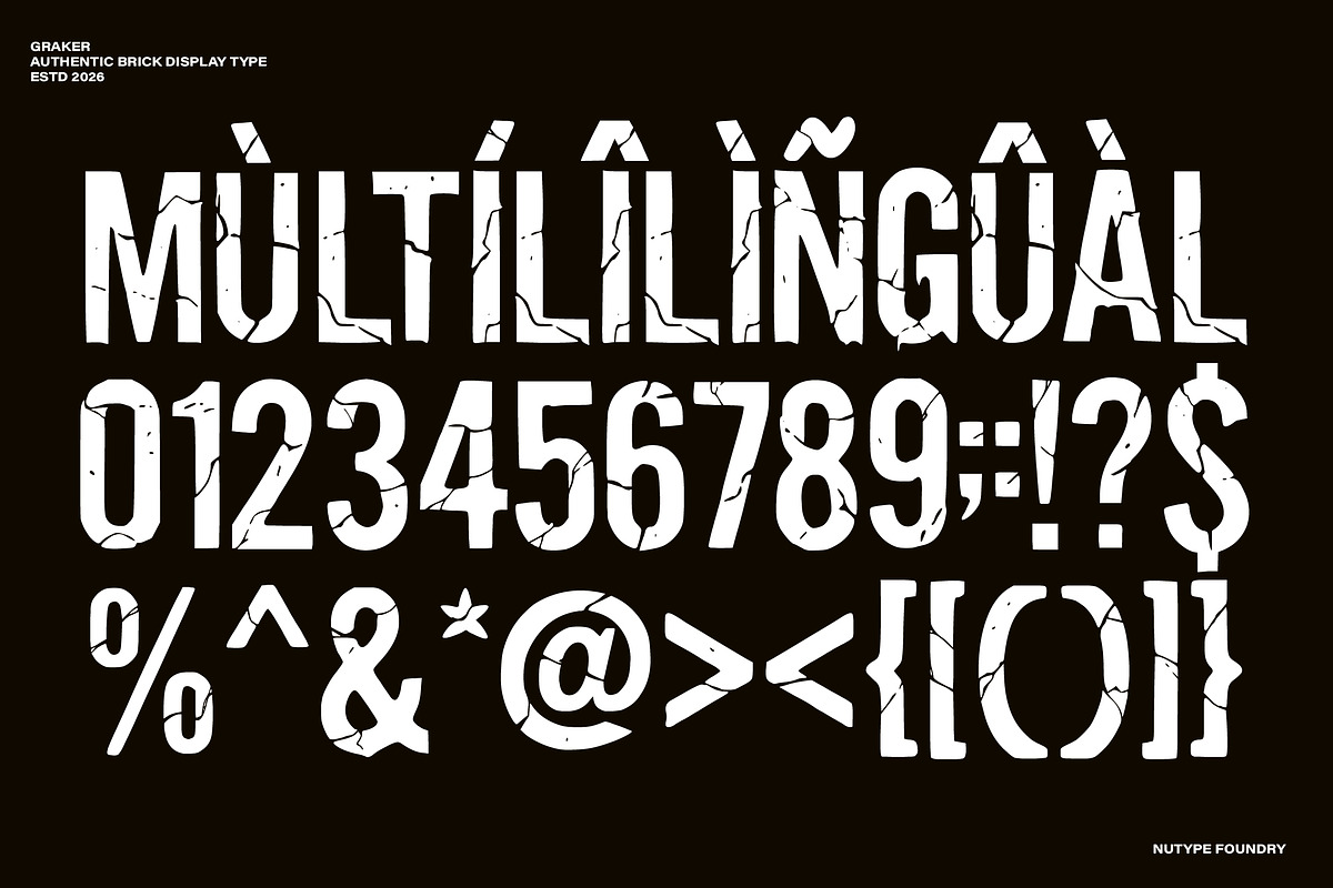 Graker - Condensed Display Type, a Sans Serif Font by NuType (Photo 9 of 12)