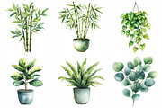 Watercolor Home Plants Clipart, an Illustration by Daily.Designs (Thumbnail 6 of 8)