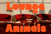 Willow Sans, a Sans Serif Font by Tropical Type (Thumbnail 4 of 11)