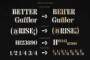 MTC Granfise - A Unique Serif