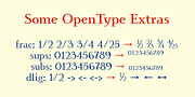 IngrianEuroika, a Serif Font by Ingrimayne Type (Thumbnail 8 of 9)
