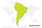 Multicolor World Vector Map, an Object Graphic by Nazim's Shop (Thumbnail 5 of 13)