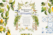 Mediterranean Citrus Garden clipart, a Decorative Illustration by Pamyatka Shop (Thumbnail 3 of 14)