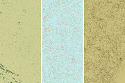 GSTC - Stone bench textures, a Texture Graphic by The Shop (Thumbnail 61 of 80)