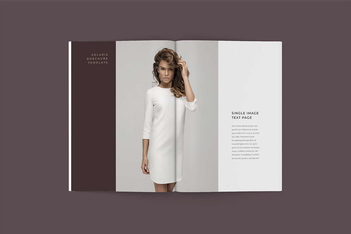 Solaris Complete Pack, a Brochure Template by SlideStation (Photo 3 of 9)